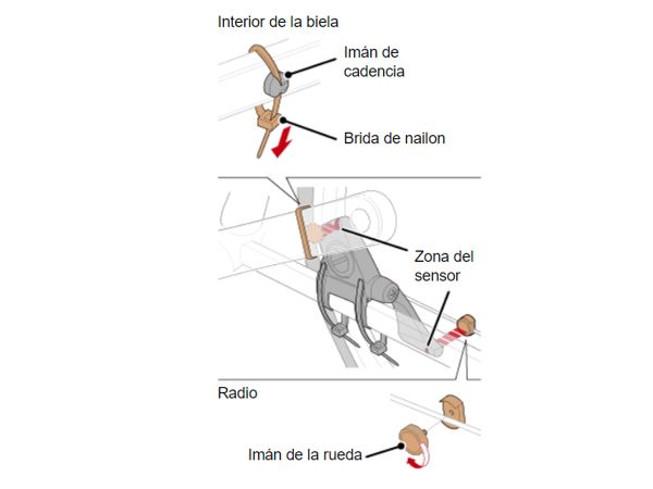 Sensor de Cadencia CATEYE Magneto de Pedaleo