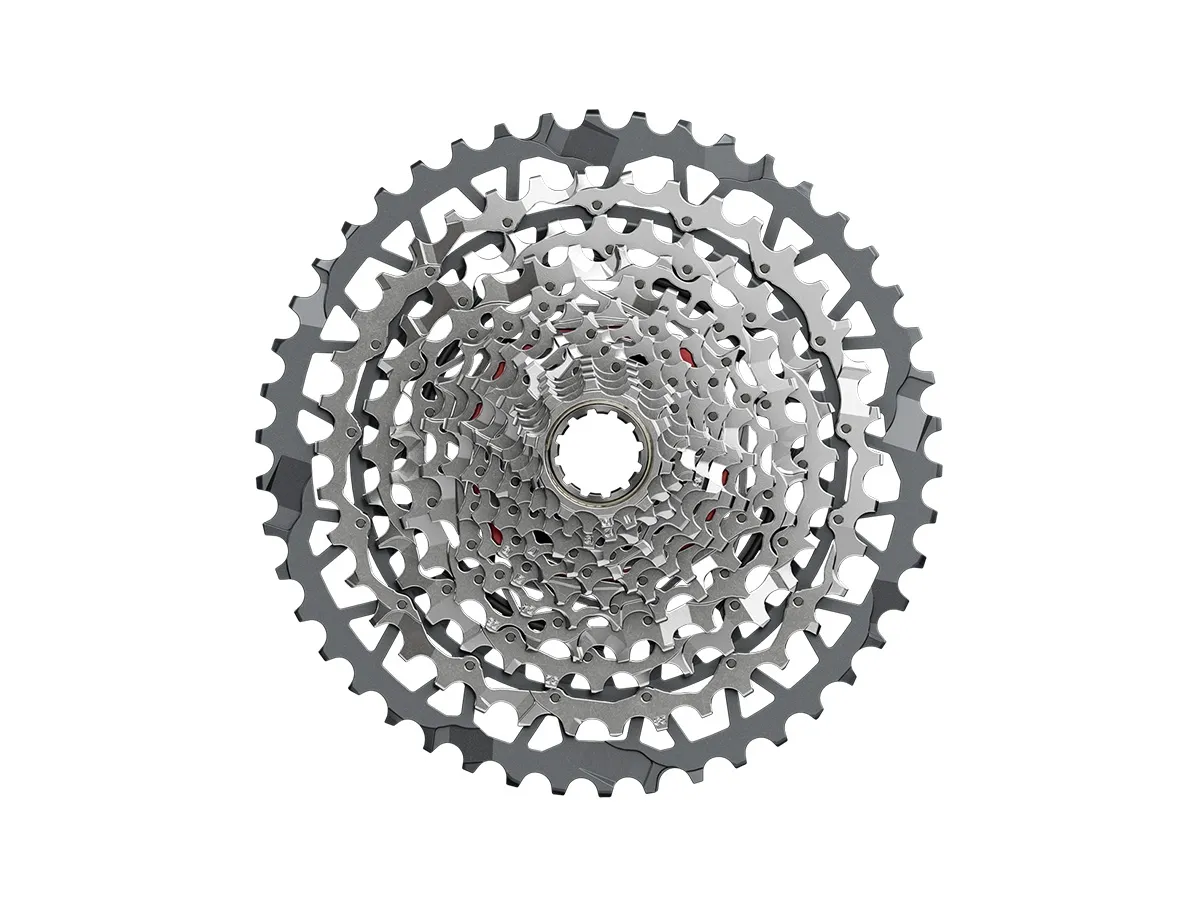 Piñon SRAM 13v Ruta XG-1351 10-46d XDR Silver (RIVAL XPLR)