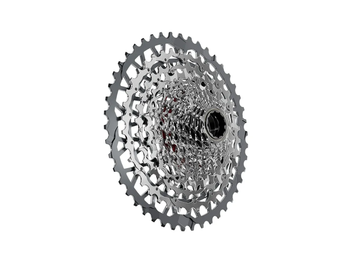 Piñon SRAM 13v Ruta XG-1351 10-46d XDR Silver (RIVAL XPLR)