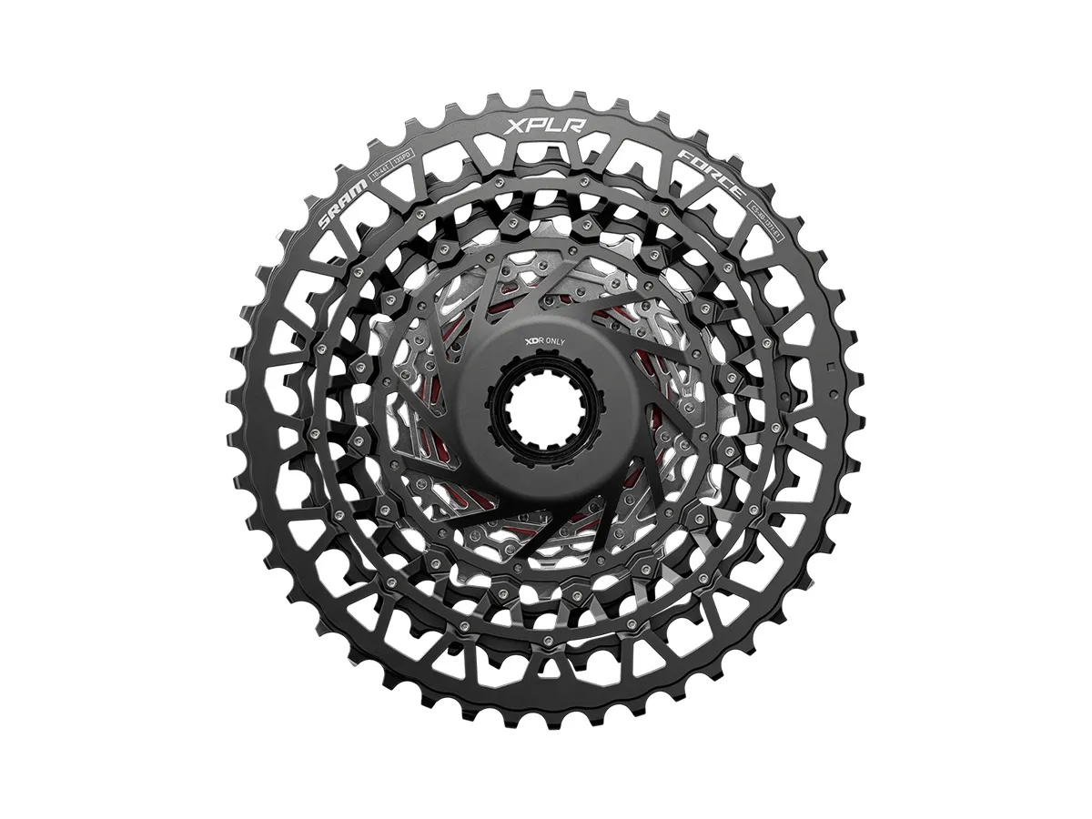 Piñon SRAM 13v Ruta XG-1371 10-46d XDR Silver (FORCE XPLR)