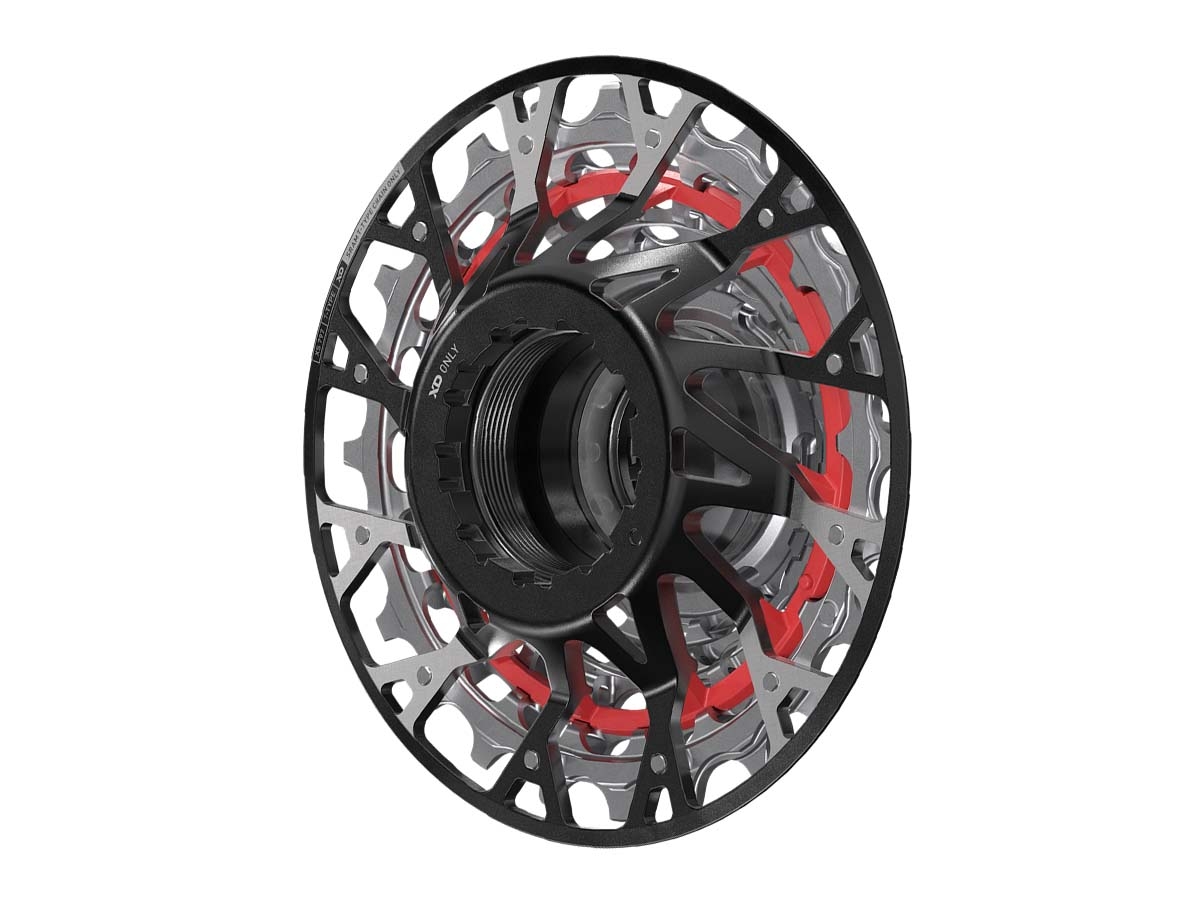 Piñon SRAM 7v DOWNHILL XS-797 10-24d T-Type