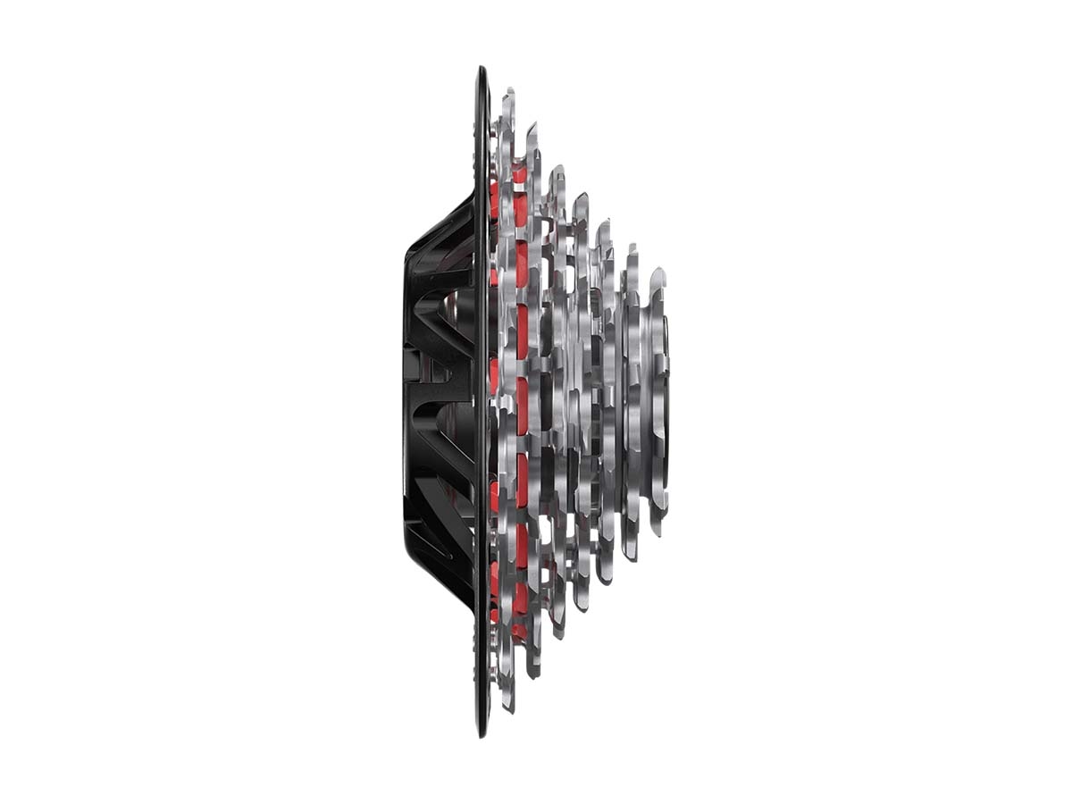 Piñon SRAM 7v DOWNHILL XS-797 10-24d T-Type