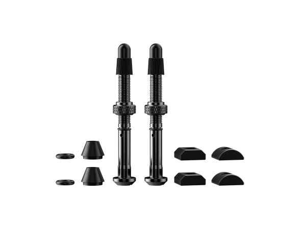 Válvulas QUARQ TyreWiz 2.0 Medida H (51.4-58.6mm) xPar