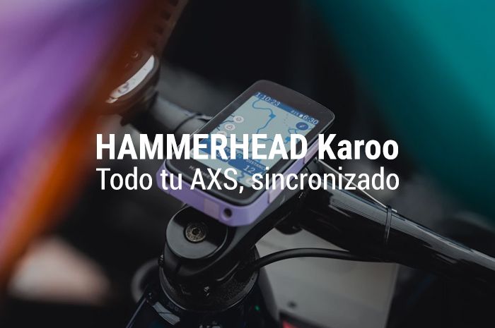 Hammerhead Karoo